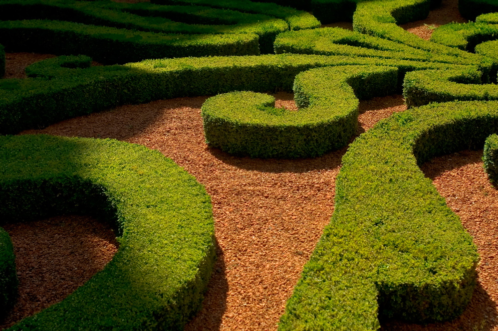 Lune de Miel - Carnavalet Garden - 1